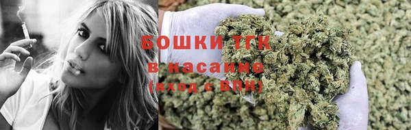 шишки Баксан
