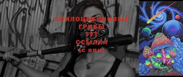 шишки Баксан